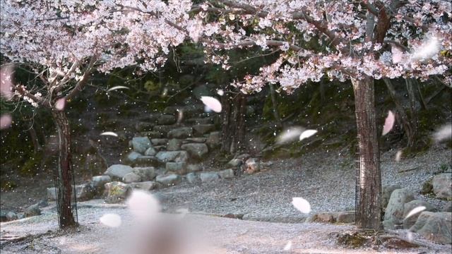 Японская музыка для расслабления, медитации, сна и отдыха смотреть онлайн