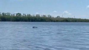 самый быстрый прикормочный кораблик