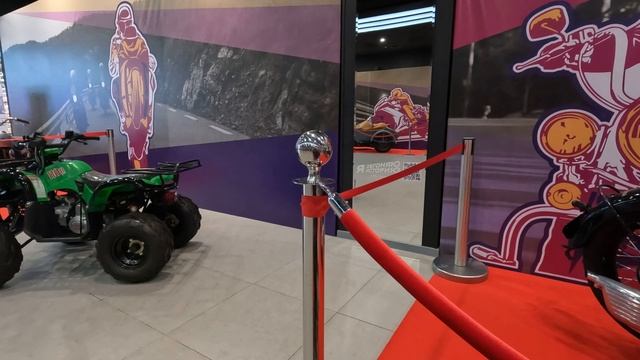 Большое путешествие на Инвалидной Коляске Caterwil Крутая выставка мотоциклов Обгоняя Историю смотреть онлайн