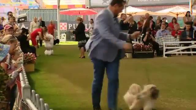 2015 Purina ProPlan Non Sporting Group