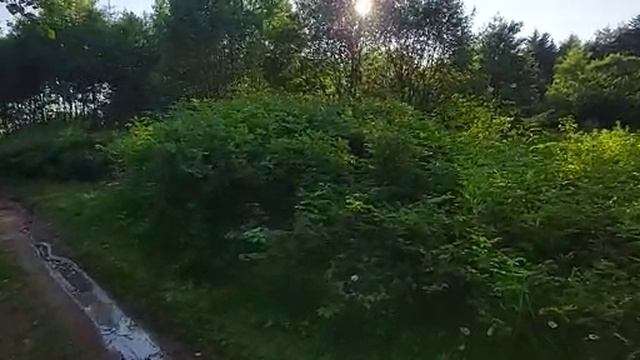 Пробный выезд, на Вездеходе ГАЗ 71, с установленым Двигателем от Toyota Land Cruiser 2H. смотреть онлайн