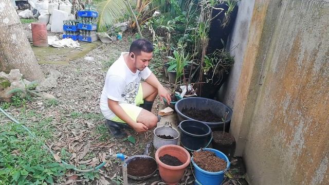 Propagating Italian Oregano смотреть онлайн