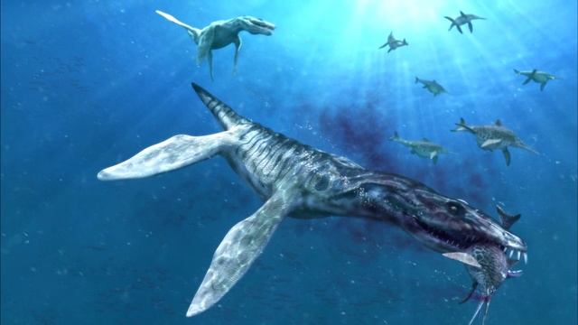 ТОП 5 | Самых больших животных на земле смотреть онлайн