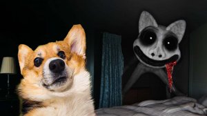 SMILE CAT СОЖРАЛ ХАСКИ БАНДИТА!! Корги Кекс Говорящая собака