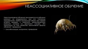 Основные формы поведения животных #кинология #зоопсихология