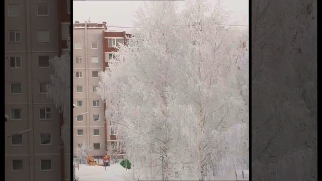 НОЧЬ сменяет УТРО сменяет ДЕНЬ... ЖИЗНЬ/ БЕЛЬЧАТА в КАДРЕ/ ЗИМНЯЯ СИБИРЬ смотреть онлайн