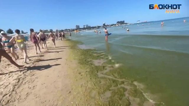 После шторма в море у берегов Анапы появилась зелёная жижа смотреть онлайн