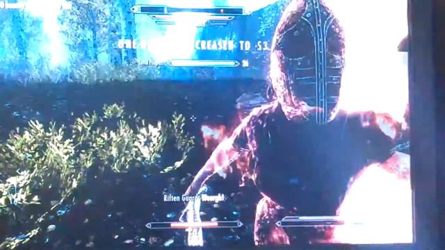 Skyrim Riften guard attack!!! смотреть онлайн