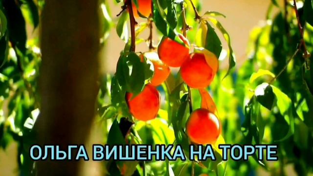ТРЭШ НА КАНАЛЕ ДОБРОЕ ДЕЛО. ДОБРОЕ ДЕЛО ВМЕСТЕ. смотреть онлайн