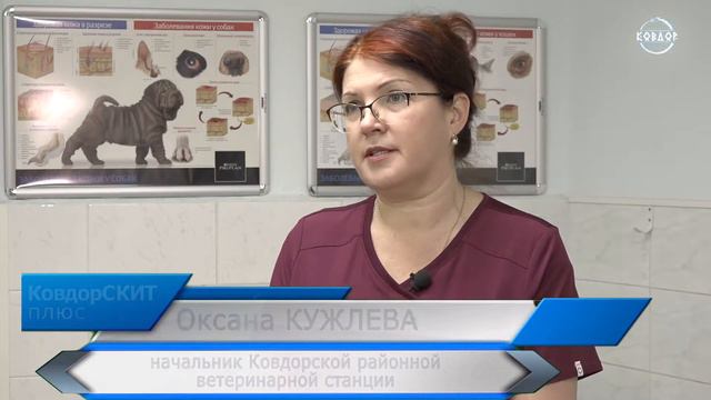 Домашних питомцев под контроль!