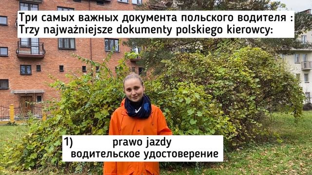 ? О ТАЧКАХ НА ПОЛЬСКОМ ? | УЧИ ПОЛЬСКИЙ ЛЕГКО | UCZ SIĘ Z MARIĄ №21 смотреть онлайн