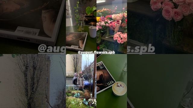 Атмосферные кофейни Санкт-Петербурга смотреть онлайн