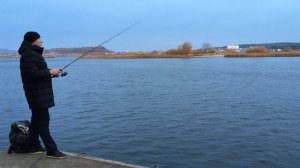 Поводок для микроджига и ультралайта