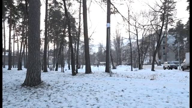 Благоустройство сквера «Юбилейный» в Заречном будет проходить в течение двух лет смотреть онлайн