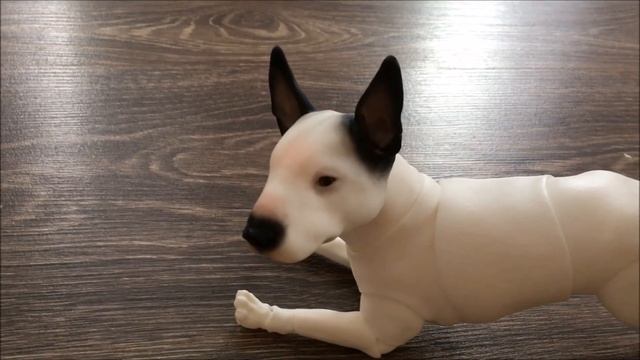 Распаковка BJD собачки от Iplehouse/Pet Doll-Bull Terrier