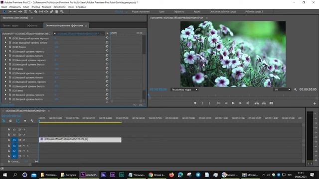 Эффект Уровни  Premiere Pro