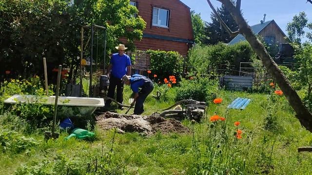 Вода и здоровье семьи