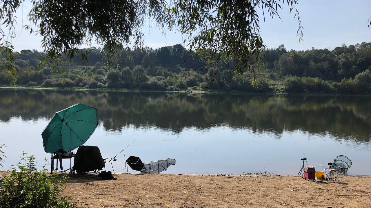 Фидер на ОКЕ В СЕНТЯБРЕ/ 30 кг ЛЕЩА/ Лещ на каждом забросе смотреть онлайн