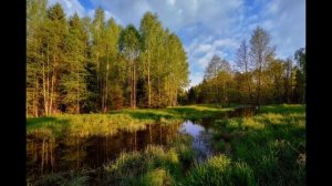 Ф М Достоевский Братья Карамазовы аудиокнига