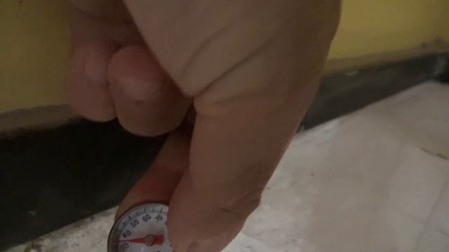Жареные мухи, как важная добавка к питанию. Новый вылуп. Мой курятник. смотреть онлайн