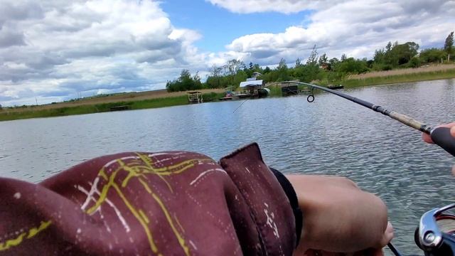 РЫБУ ТАКИХ РАЗМЕРОВ Я НЕ ЛОВИЛ УЖЕ ЛЕТ ПЯТЬ!!!! Рыбалка на спиннинг в июне. смотреть онлайн