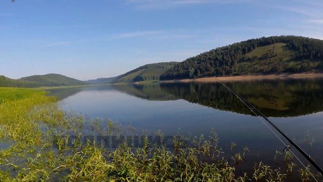 САЗАН НА НЕРЕСТЕ/ЧТО ТВОРЯТ! ЩУКА НА ПОППЕР. смотреть онлайн