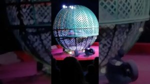 Цирк граф Орлов