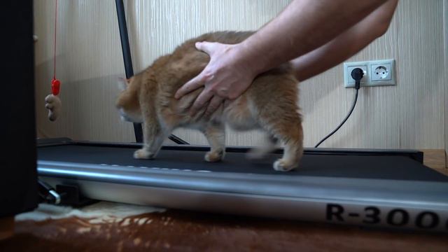 Treadmill - my first steps! смотреть онлайн