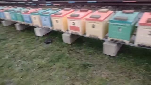 Качественное Канди в Домашних условиях!!! смотреть онлайн