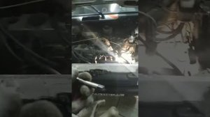 Втулка стартера автомобиль Ока.