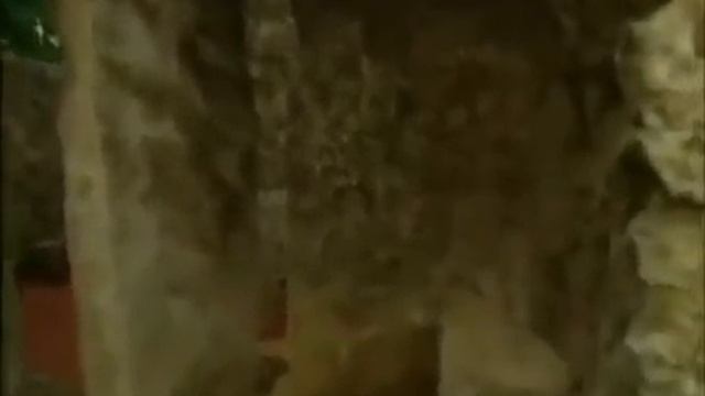 КОРАЛЛОВЫЙ ЗАМОК. Эдвард Лицкалнен. МАЙАМИ смотреть онлайн