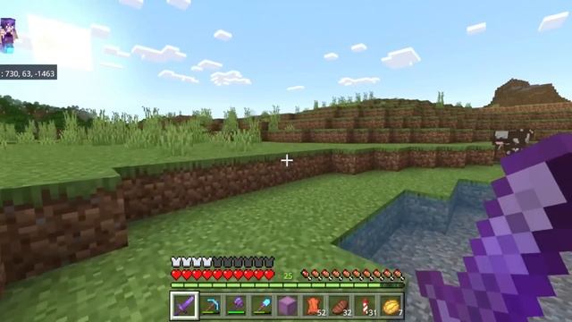 【圧巻!!】180個のチェストに額縁全貼り!牛革集めてチェスト部屋に額縁付ける！！　#62【女性実況】【マインクラフト　マイクラ　まいくら　Minecraft】 смотреть онлайн