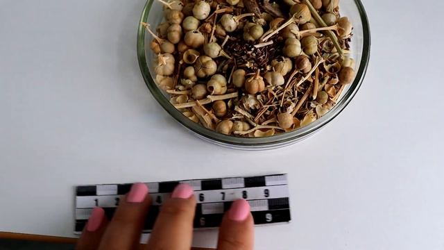 Таможенники обнаружили накротики в аэропорту Иркутска смотреть онлайн