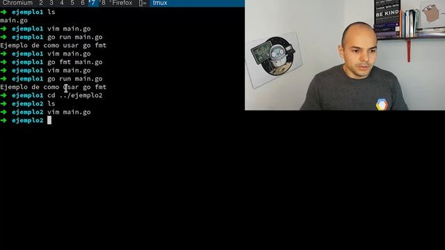 143 Entorno de Desarrollo Comandos Go