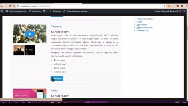 Как сделать портфолио на WordPress смотреть онлайн