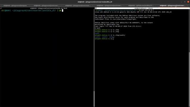 ANSIBLE - 17. LES BOUCLES : WITH_ITEMS ET LES AUTRES WITH смотреть онлайн