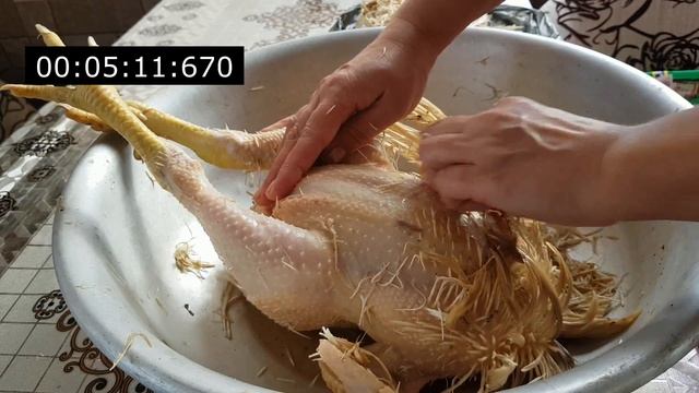 Ощип курицы, бройлера за 5 минут. Очень быстрое снятие пера с кур, бройлеров в домашних условиях смотреть онлайн