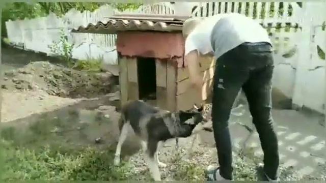 Короткаметражка"КРИМИНАЛЬНАЯ РОССИЯ" смотреть онлайн