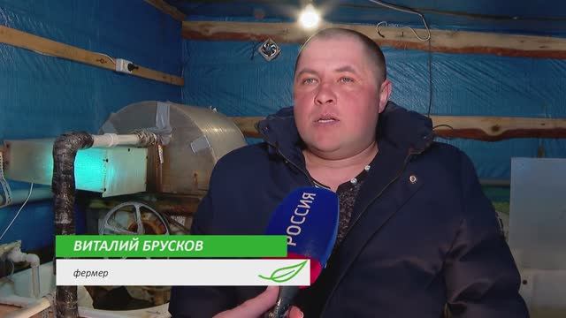 "Земля Южноуральская". Эфир от 25.03.21. Как Челябинская область готовится к посевной смотреть онлайн