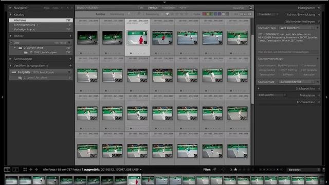 Intelligente Veröffentlichungsdienste in Lightroom 3 смотреть онлайн