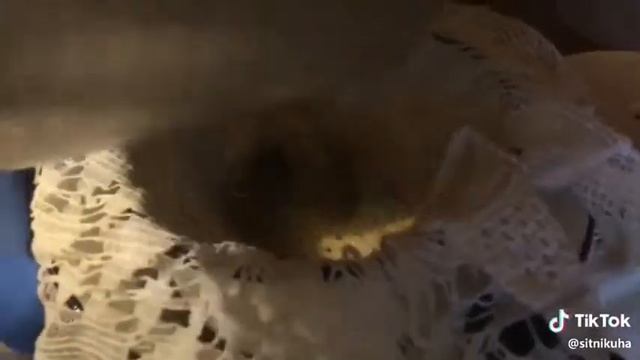 Как сделать мёд из-за одуванчиков! смотреть онлайн