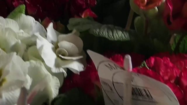 Primula acaulis (double flowered) смотреть онлайн