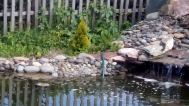 Расцвели кувшинки Марлеака. Водопад и пруд на даче смотреть онлайн