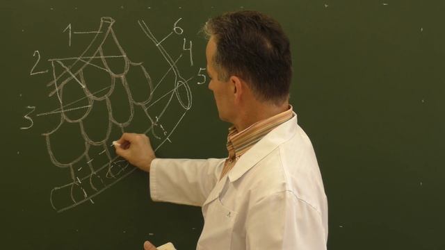 Схема резекции брыжеечной части тонкой кишки смотреть онлайн