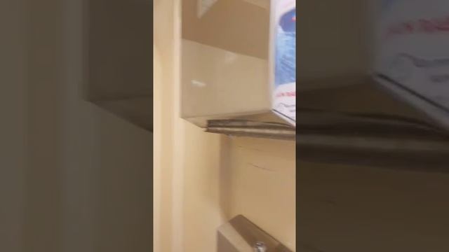 Туалет в плацкартном вагоне 14.09.2019 смотреть онлайн