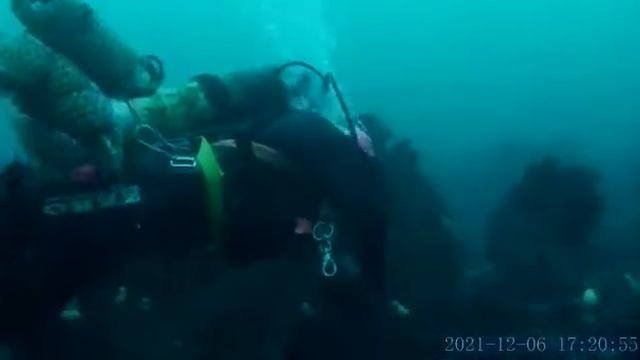 как водолаз собирает морских ежей смотреть онлайн