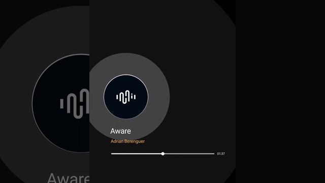 Aware | Adrian Berenguer