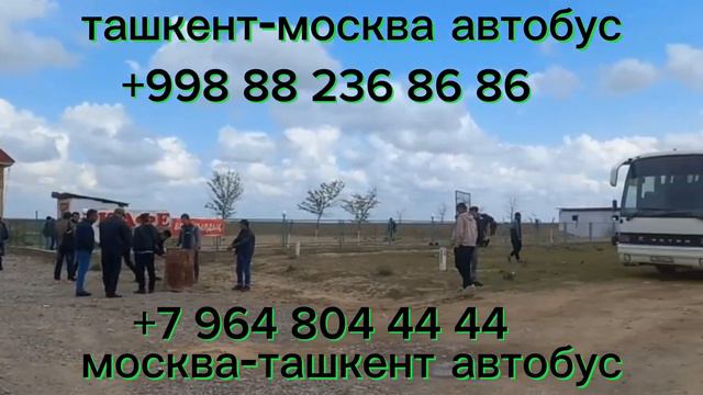 москва-ташкент автобус санкт-петербург-ташкент автобус узбекистан-россия автобус смотреть онлайн
