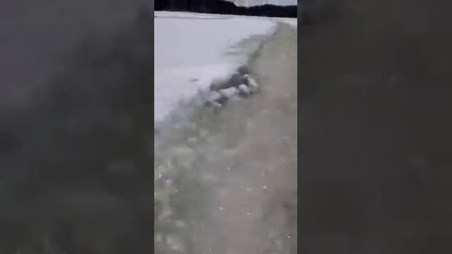 Don Warwas Snowmobile, slush on top of the ice смотреть онлайн