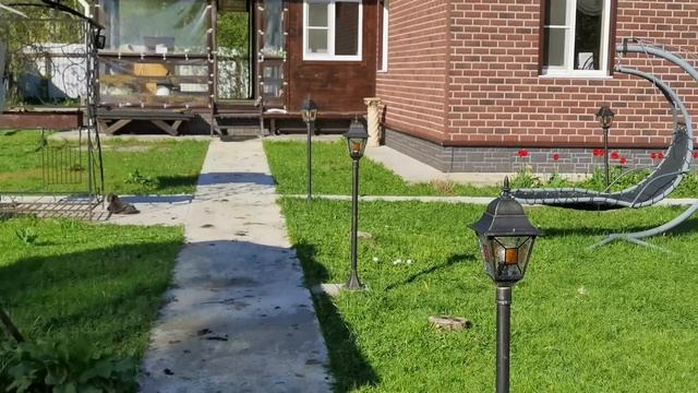 Гуси не знают что делать с яйцами, а кошки воюют за веранду. смотреть онлайн